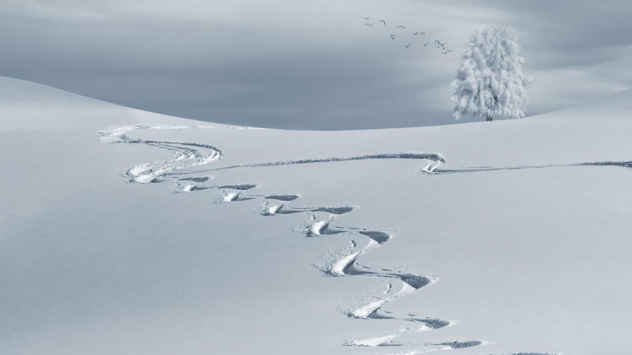 Appartamento Mountain Chalet Milly Livigno Esterno foto